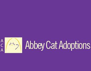 Abbey Cat Adoptions