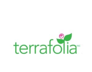 Fleuriste Terrafolia Flowers